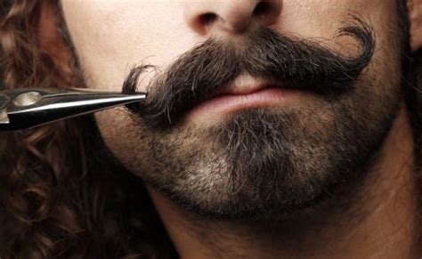 20 Popular Cowboy Beard And Mustache Styles Beard Style