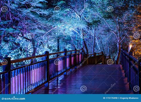 Beautiful Night Multi Colored Illumination In Luhuitou Park Sanya