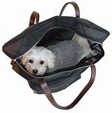 Images of Designer Dog Carriers For Small Dogs
