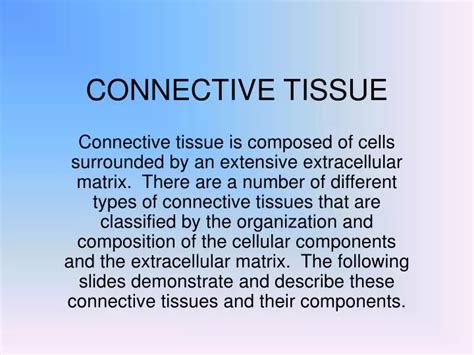 Ppt Connective Tissue Powerpoint Presentation Free Download Id248047