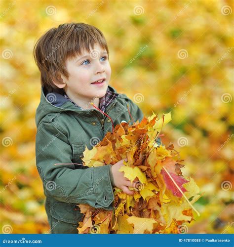 Portrait Of A Little Boy With Autumn Leaves In The Park Stock Photo