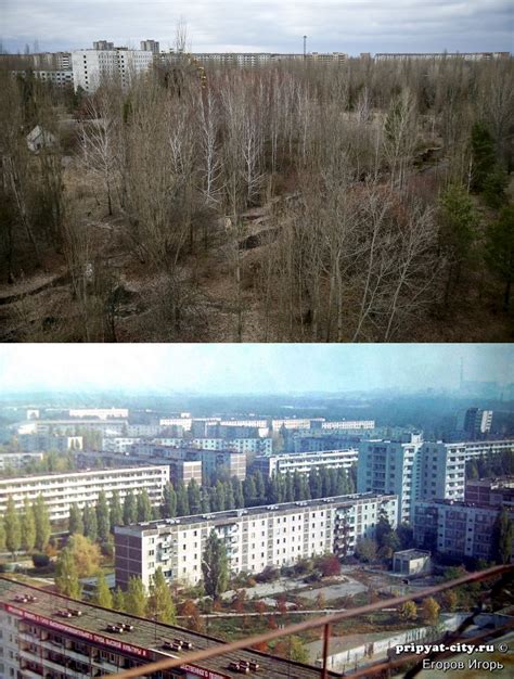 Chernobyl Then And Now Still Abandoned After 30 Years Global Times
