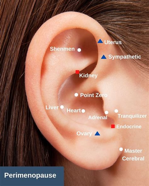 Ear Seeds Info — Three Tides Massage Acupuncture Naturopath