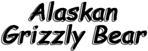 Alaskan Grizzly Bears Bears Of The World