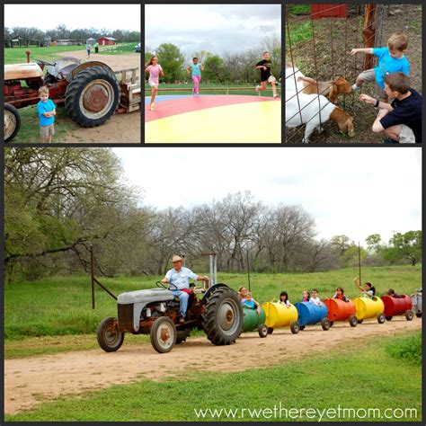 Visit the farm's website or facebook page to learn more. Sweet Berry Farm ~ Marble Falls, Texas - R We There Yet Mom?