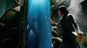 La forma dell'acqua - The Shape of Water, cast e trama film - Super ...