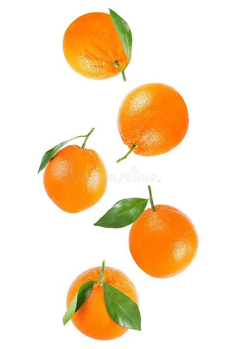 Falling Whole Orange With Leaf Isolated On White Stock Photo Image Of