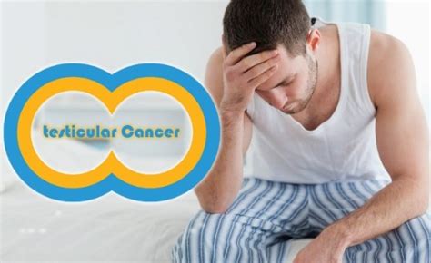 Testicular Cancer Symptoms And Signs In Men Cancerworld