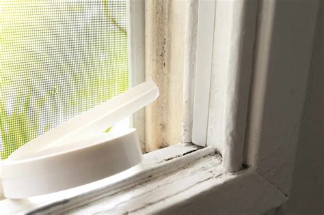 How To Effectively Insulate Your Windows Your Best Digs