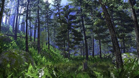 Biome Boreal Forest
