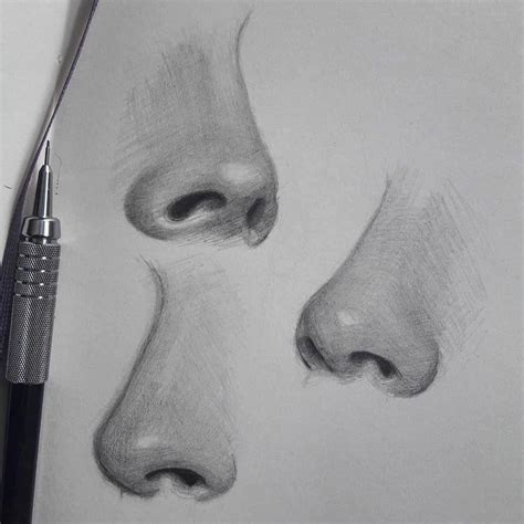 Nose Studies By Crystalarts Follow Artistsuniversity For More