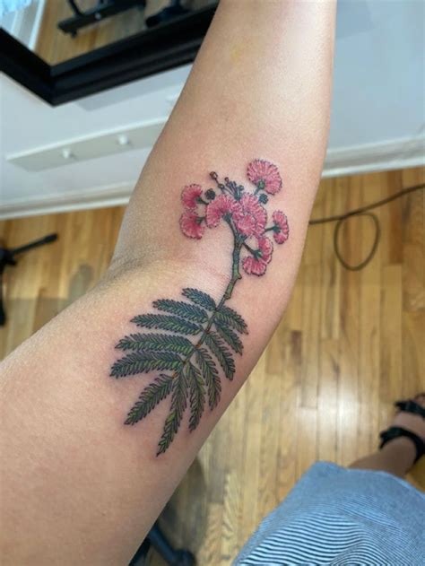 Mimosa Tree Free Tattoo Tattoos Sleeve Tattoos