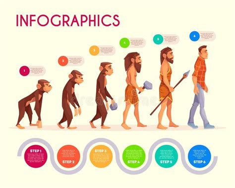 Human Evolution From Ape To Man Computer User Stock Vector
