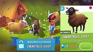 Farmville 3 New Sheep Breed New Breed Discovered Quot Zwartbles Sheep