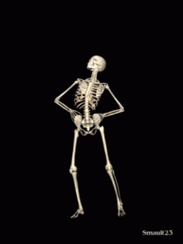 Skeleton Jig Skeleton Gif Skeleton Jig Skeleton Skeleton Dance
