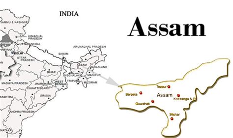 10 Killed In Two Assam Attacks 2 Minor Girls Seriously