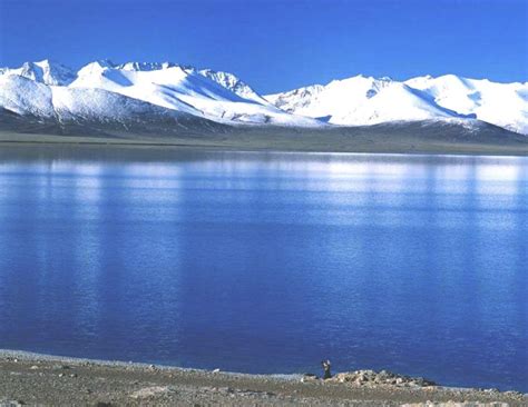 Improved Ecosystem At Chinas Largest Saltwater Lake Qinghai Lake