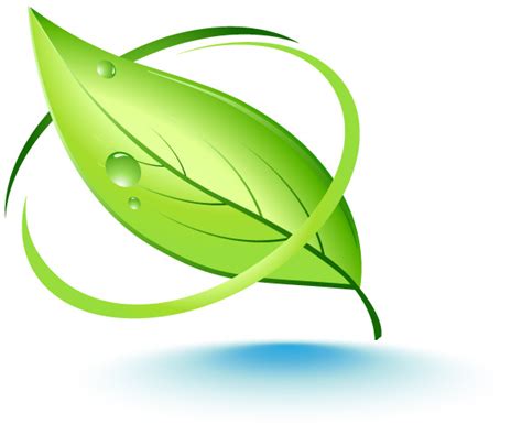 19 Leaf Vector Logo Images - Natural Leaf Logo, Trees and Leaves Vector