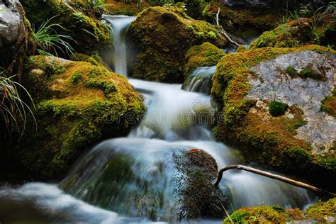 Waterfall Stock Image Image Of Tree Water Chute Moss 12125923