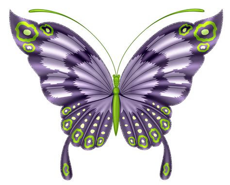 Butterflies°•‿ ⁀ Butterfly Drawing Butterfly Art Butterfly Painting