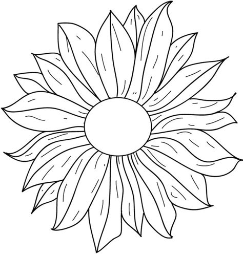 Flower Line Drawing Free Vector In Adobe Illustrator Ai Ai Vector