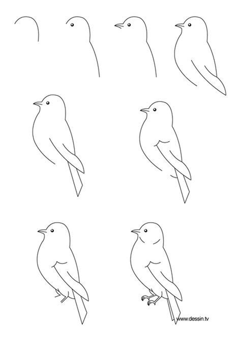 Pájaros Dibujos Fáciles Para Hacer 🙂 Paso A Paso