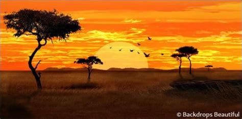 African Grasslands Background