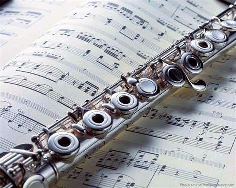Interesting Facts About Flutes Just Fun Facts