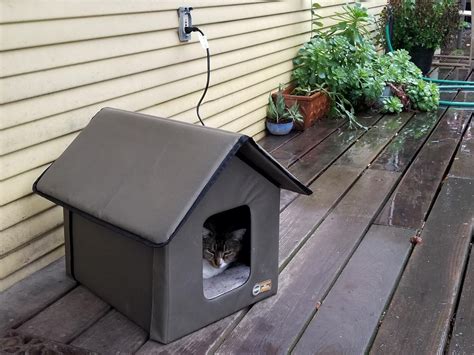 Best Outdoor Heated Cat House