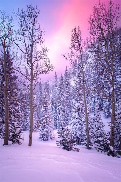 Colour My World Winter Szenen I Love Winter Winter Forest Winter