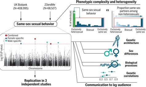 Large Scale Gwas Reveals Insights Into The Genetic Architecture Of Same Sex Sexual Behavior