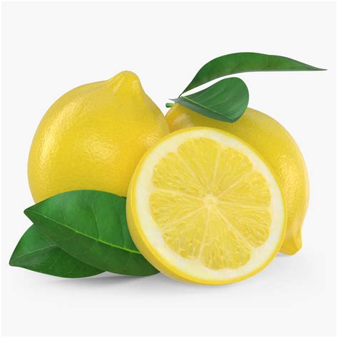 Lemon Free 3d Model Blend Free3d