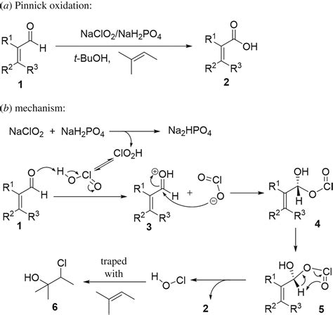 Sollte Für Mich Teppich Pinnick Oxidation Mechanism Dump Komplikationen