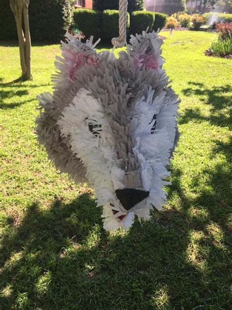 Homemade Wolf Pinata Birthday Party Supplies Birthday Party Themes