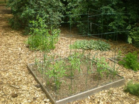 It may be most effective to use add a drop of liquid dishwashing soap and a teaspoon of vegetable oil. Tips for Keeping Animals Out of Your Vegetable Garden # ...