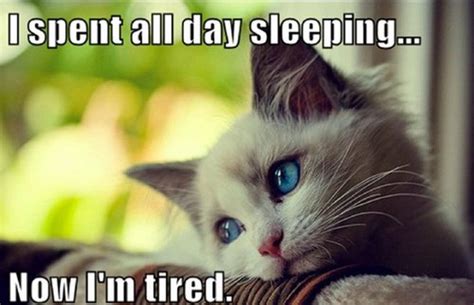 40 Truthful Memes About Being Tired Inspirationfeed