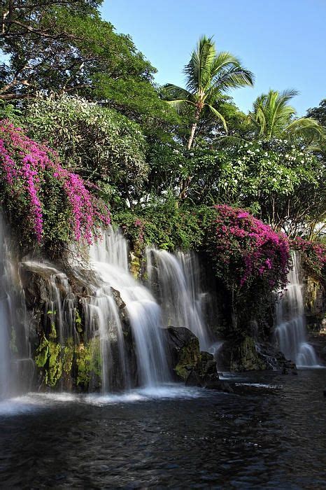 Flower Waterfall In Maui Waterfall Beautiful Waterfalls Beautiful