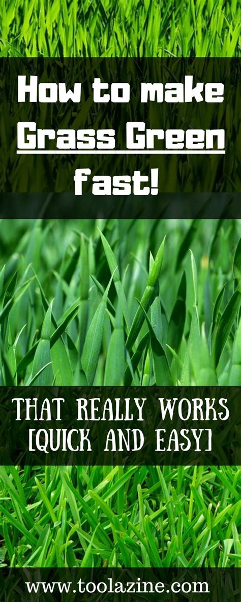 How To Make Grass Green Fast Quick And Easy If You Have A Lawn And Most People Do It Looks