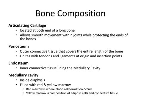 Ppt Bone Composition Powerpoint Presentation Free Download Id2023881