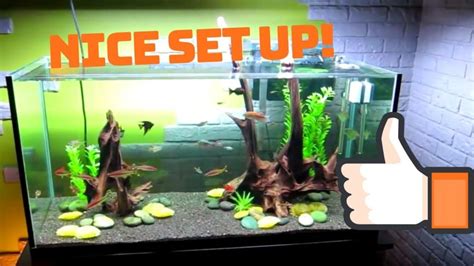 Best Comprehensive Guide To Set Up A 90 Gallon Fish Tank Fishxperts