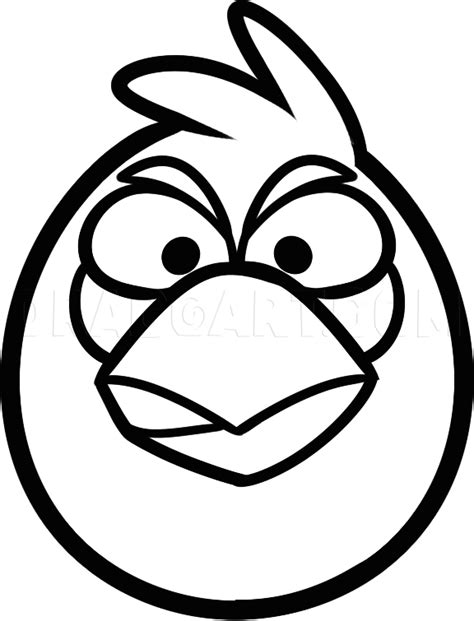 How To Draw A Blue Angry Bird Blue Bird Angry Birds Step By Step