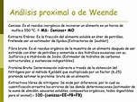 ANALISIS PROXIMAL DE WEENDE PDF