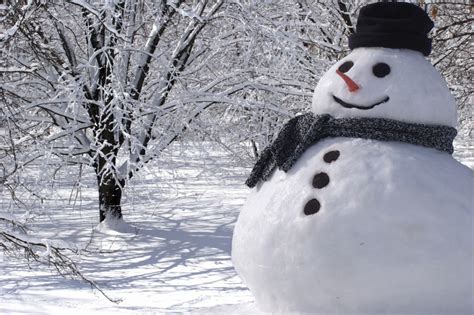 10 Amazing Snowman Facts You Just Dont Know The List Love