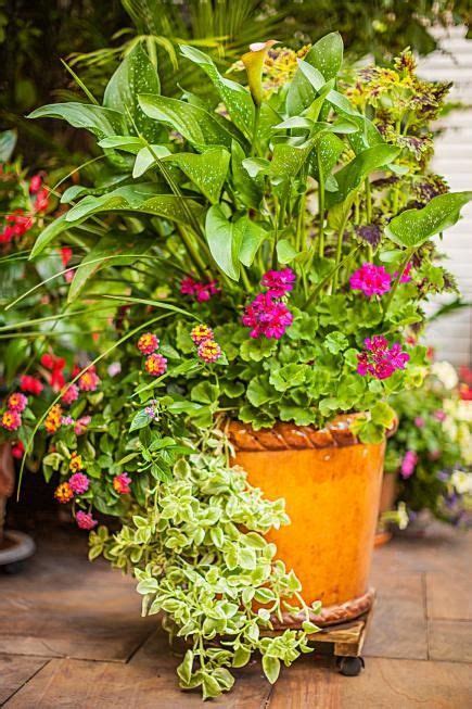 Container Gardens For The Midwest Garden Containers