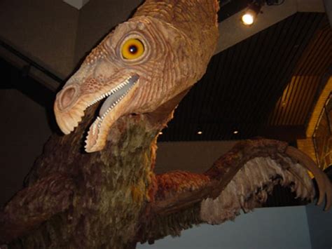 10 Clawed Facts About Therizinosaurus Mental Floss