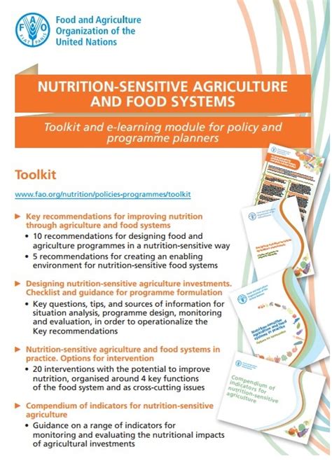 Fao Toolkit And E Learning Modules On Nutrition Sensitive Agriculture And Food Systems Aims
