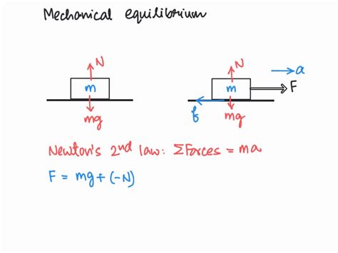 Solved When Any Object Is In Mechanical Equilibrium What Can Be