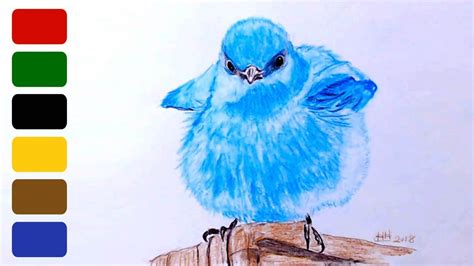 Https://tommynaija.com/draw/how To Draw A Baby Bluebird