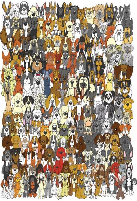 Can You Find The Panda Afbeeldingen Panda Hond Verborgen Afbeeldingen