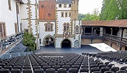 Was die Burgfestspiele Jagsthausen in der Spielzeit 2023 bieten - STIMME.de